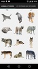 Real Animals Photo Stickers screenshot 4