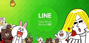 Line feature