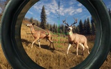 Deer Hunting Sniper Hunter : Shooting Simulator screenshot 3