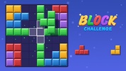 Block Challenge screenshot 3