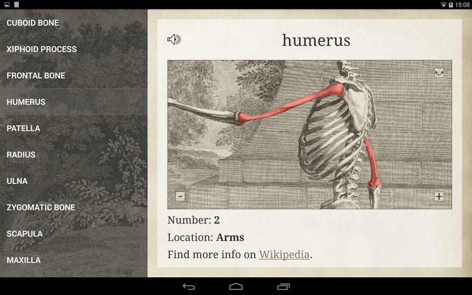 Bones - Preview 4