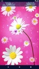 3D Daisy Spring Live Wallpaper screenshot 5