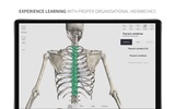 Anatomyka Skeleton screenshot 2
