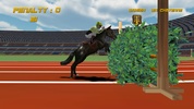 Show Jumping screenshot 4