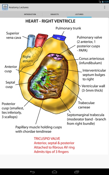 Anatomy Lectures - Preview 5