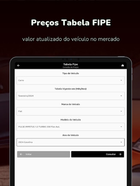 Consulta Placa - Preview 2