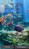 The real aquarium - HD screenshot 16