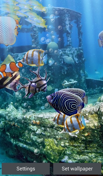 The real aquarium - HD - Preview 15