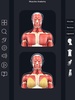 My Muscle Anatomy screenshot 1