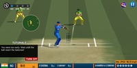 World Cricket Battle 2 screenshot 3