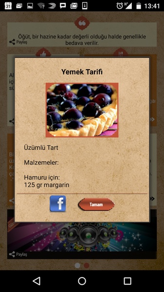 Vestel Takvim - Preview 2