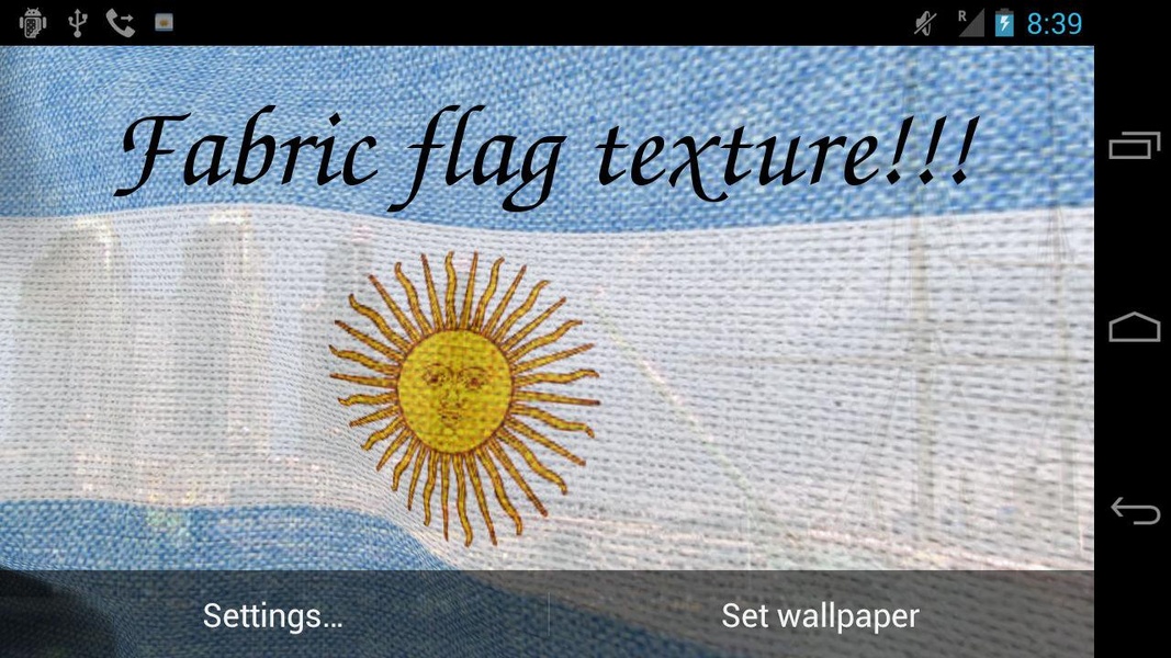 Argentina Flag - Preview 4