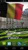 Belgium Flag screenshot 6
