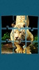 Tigers Jigsaw Puzzle screenshot 5