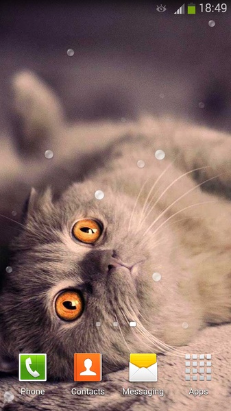 Cute Cats Live Wallpaper - Preview 11