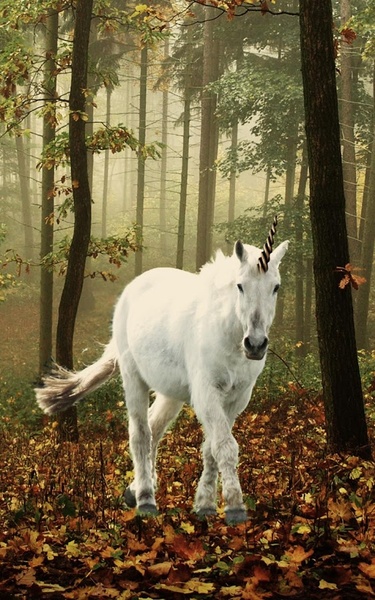 Unicorn Live Wallpaper - Preview 5
