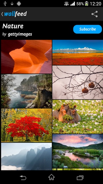 Wallfeed - Preview 6