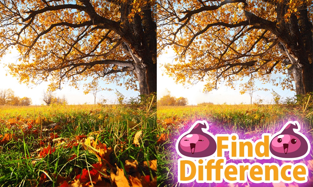 Find Difference 9 - Preview 3