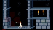 Prince Of Persia 1 screenshot 6