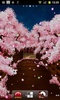 Sakura's Bridge Live Wallpaper screenshot 6