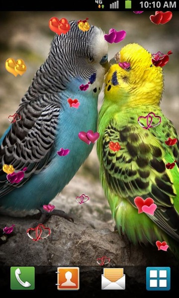 Love Birds Live Wallpaper - Preview 14