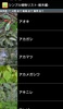 シンプル植物リスト-樹木編- screenshot 9