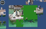 Puzzle Zoo screenshot 8