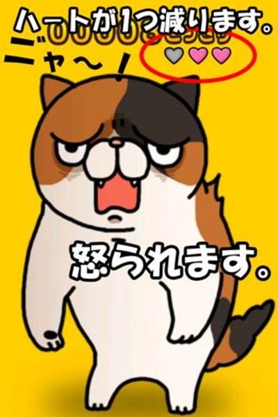 Surprised cat - Preview 2