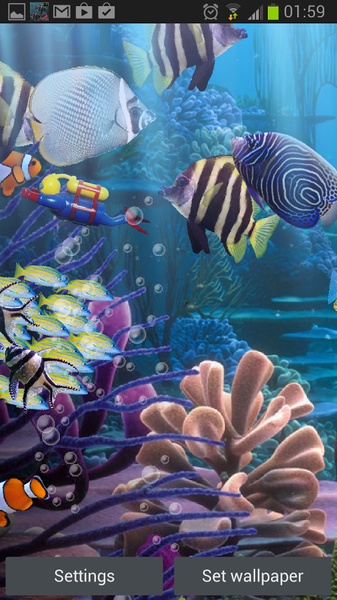 The real aquarium - HD - Preview 3