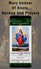 Mary Undoer Of Knots screenshot 2