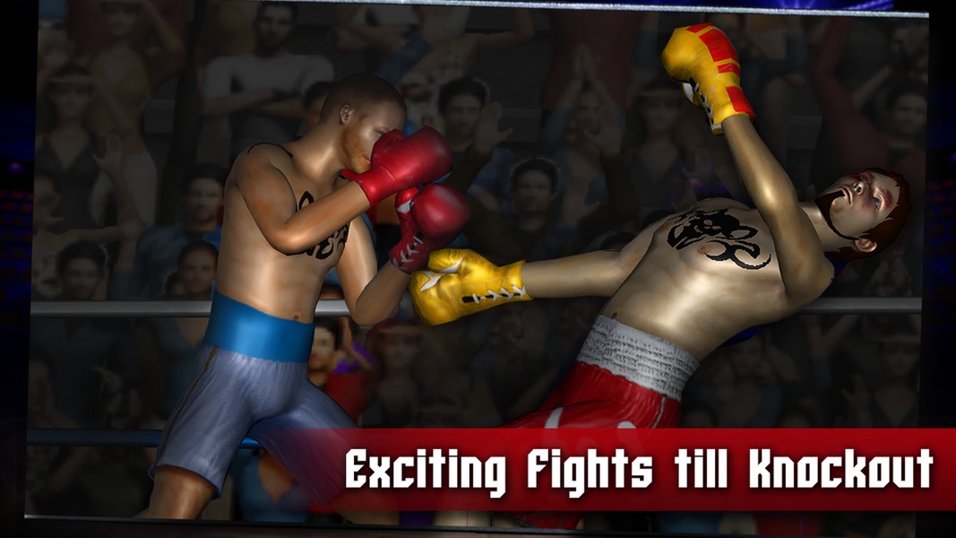 Boxing 2016 - Preview 7