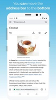 Kiwi Browser for Android 4