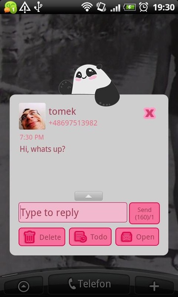 GO SMS Panda Bear Theme - Preview 2
