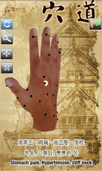 Handpoint - Preview 4