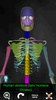 Bones Human 3D (anatomy) screenshot 8