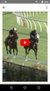 Horse Racing Latest News screenshot 2