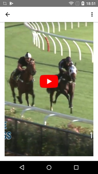 Horse Racing Latest News - Preview 2
