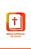 Bíblia católica em áudio screenshot 6