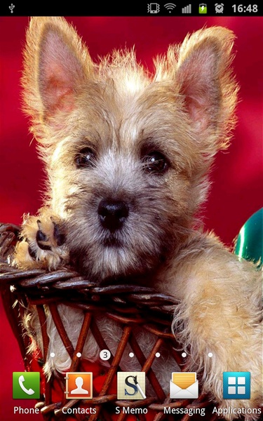 Cute Puppies Wallpapers - Preview 3