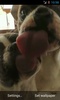 Dogs Licks Screen screenshot 5