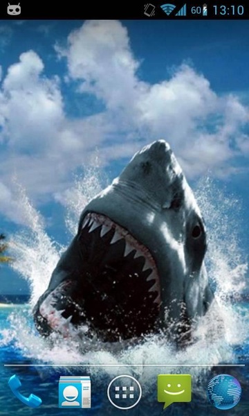 Magic Touch Shark Attack - Preview 4