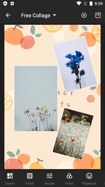 LanMei Photo Collage - Preview 3