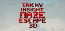Tricky Insight Maze Escape 3D feature