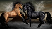 Horses Live Wallpaper - backgrounds hd screenshot 5