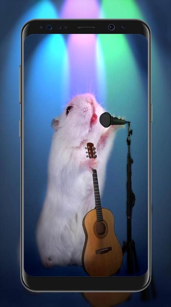 Cute Hamster Wallpapers - Preview 2