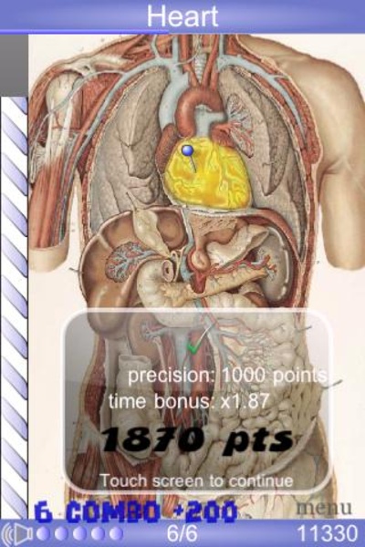 Speed Anatomy - Preview 2