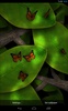 Tap Leaves Free Live Wallpaper screenshot 14