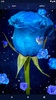 Blue Rose Live Wallpaper screenshot 5
