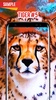 Tiger Wallpaper screenshot 2