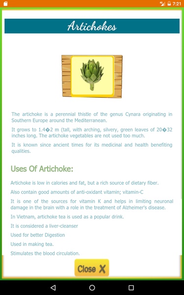 Vegetable Book - Preview 5